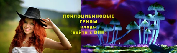 mix Алексеевка